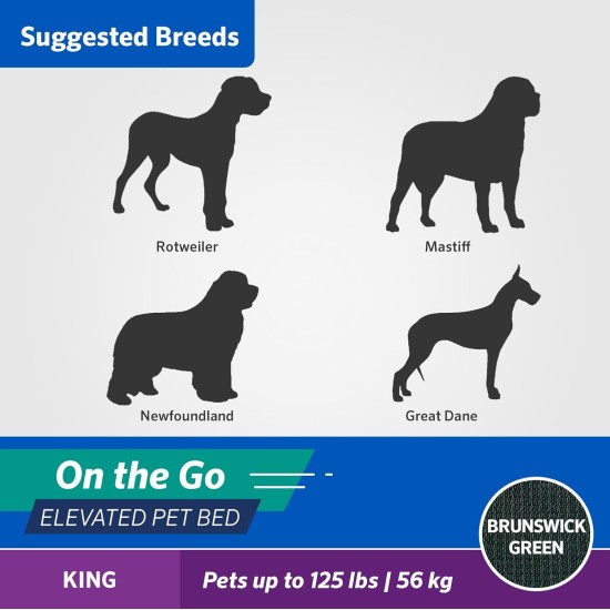 Coolaroo On The Go Raised Pet Bed, Large, Grey Coolaroo On The Go Raised Pet Bed, Large, Grey
