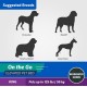 Coolaroo On The Go Raised Pet Bed, Large, Grey Coolaroo On The Go Raised Pet Bed, Large, Grey