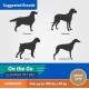 Coolaroo On The Go Raised Pet Bed, Large, Grey Coolaroo On The Go Raised Pet Bed, Large, Grey