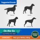 Coolaroo On The Go Raised Pet Bed, Large, Grey Coolaroo On The Go Raised Pet Bed, Large, Grey