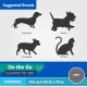 Coolaroo On The Go Raised Pet Bed, Large, Grey Coolaroo On The Go Raised Pet Bed, Large, Grey