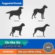 Coolaroo On The Go Raised Pet Bed, Large, Grey Coolaroo On The Go Raised Pet Bed, Large, Grey
