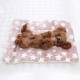 Cosy Calming Cat Blanket, Cat Blankets for House Cats, Washable Ultra Soft Calming Blanket for Cats and Dogs, Cute Paw Print Blanket Cosy Calming Cat Blanket, Cat Blankets for House Cats, Washable Ultra Soft Calming Blanket for Cats and Dogs, Cute Paw Print Blanket