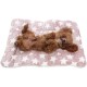 Cosy Calming Cat Blanket, Cat Blankets for House Cats, Washable Ultra Soft Calming Blanket for Cats and Dogs, Cute Paw Print Blanket Cosy Calming Cat Blanket, Cat Blankets for House Cats, Washable Ultra Soft Calming Blanket for Cats and Dogs, Cute Paw Print Blanket