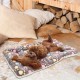 Cosy Calming Cat Blanket, Cat Blankets for House Cats, Washable Ultra Soft Calming Blanket for Cats and Dogs, Cute Paw Print Blanket Cosy Calming Cat Blanket, Cat Blankets for House Cats, Washable Ultra Soft Calming Blanket for Cats and Dogs, Cute Paw Print Blanket