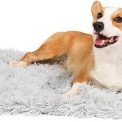 Crazy Bean Self-Heating Blanket for Cats, Dogs, Heat Mat for Pets, Puppies, Soft Warm Mat for Pets, Dogs, Cats, Puppies Crazy Bean Self-Heating Blanket for Cats, Dogs, Heat Mat for Pets, Puppies, Soft Warm Mat for Pets, Dogs, Cats, Puppies