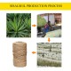 DXRPO 60 m Sisal Rope for Scratching Post 6 mm, Sisal Rope Natural Sisal Rope for Cats, Scratching Rope, Cat Accessories, Household, Garden, DIY, Decoration DXRPO 60 m Sisal Rope for Scratching Post 6 mm, Sisal Rope Natural Sisal Rope for Cats, Scratching Rope, Cat Accessories, Household, Garden, DIY, Decoration