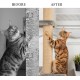 DXRPO 60 m Sisal Rope for Scratching Post 6 mm, Sisal Rope Natural Sisal Rope for Cats, Scratching Rope, Cat Accessories, Household, Garden, DIY, Decoration DXRPO 60 m Sisal Rope for Scratching Post 6 mm, Sisal Rope Natural Sisal Rope for Cats, Scratching Rope, Cat Accessories, Household, Garden, DIY, Decoration