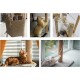 DXRPO 60 m Sisal Rope for Scratching Post 6 mm, Sisal Rope Natural Sisal Rope for Cats, Scratching Rope, Cat Accessories, Household, Garden, DIY, Decoration DXRPO 60 m Sisal Rope for Scratching Post 6 mm, Sisal Rope Natural Sisal Rope for Cats, Scratching Rope, Cat Accessories, Household, Garden, DIY, Decoration