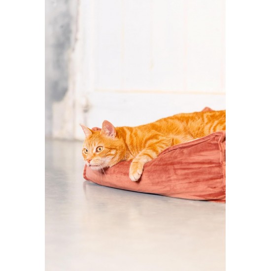 Designed by Lotte Velveti Cat Cushion, Velvet, Green, 50 x 50 x 20 cm Designed by Lotte Velveti Cat Cushion, Velvet, Green, 50 x 50 x 20 cm