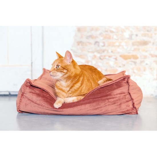 Designed by Lotte Velveti Cat Cushion, Velvet, Green, 50 x 50 x 20 cm Designed by Lotte Velveti Cat Cushion, Velvet, Green, 50 x 50 x 20 cm