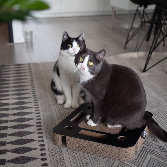 District 70 SPY - Interactive Cat Toy for Cats Made of Corrugated Cardboard with Marble Track - 35 x 35 x 6 cm (One Size) - Black District 70 SPY - Interactive Cat Toy for Cats Made of Corrugated Cardboard with Marble Track - 35 x 35 x 6 cm (One Size) - Black