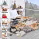 Domgoge Cuddly Blanket with Cat Blanket for Children Girls Flannel Fleece Blanket with Cute Cat for Cat Lovers Plush Blanket Cat Gift Fluffy Blankets Sofa Couch Domgoge Cuddly Blanket with Cat Blanket for Children Girls Flannel Fleece Blanket with Cute Cat for Cat Lovers Plush Blanket Cat Gift Fluffy Blankets Sofa Couch