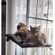 Dracarys Cat Hammock Window | for Large Cats up to 20 kg | Reinforced Cat Hammock with Strong Suction Cup | Sunbathing Cat Bed Pet Bed, Suitable for Window Length ≥76 cm and Height ≥64 cm Dracarys Cat Hammock Window | for Large Cats up to 20 kg | Reinforced Cat Hammock with Strong Suction Cup | Sunbathing Cat Bed Pet Bed, Suitable for Window Length ≥76 cm and Height ≥64 cm