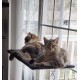 Dracarys Cat Hammock Window | for Large Cats up to 20 kg | Reinforced Cat Hammock with Strong Suction Cup | Sunbathing Cat Bed Pet Bed, Suitable for Window Length ≥76 cm and Height ≥64 cm Dracarys Cat Hammock Window | for Large Cats up to 20 kg | Reinforced Cat Hammock with Strong Suction Cup | Sunbathing Cat Bed Pet Bed, Suitable for Window Length ≥76 cm and Height ≥64 cm