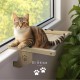 EL ÁTICO PETS Cat Hammock, Hammock for Cat, Window, Hanging on 2 Legs or Floor with 4 Legs, Cat Bed, Radiator, Hammock, Window for Cats, Large Cat Bed EL ÁTICO PETS Cat Hammock, Hammock for Cat, Window, Hanging on 2 Legs or Floor with 4 Legs, Cat Bed, Radiator, Hammock, Window for Cats, Large Cat Bed