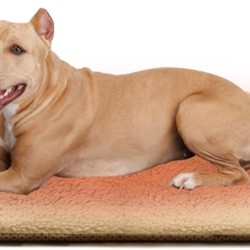 Electric Blanket Dogs 60 x 90 cm, Self-Heating Blanket for Cats and Dogs, Heat Blanket Cat Extra Warm & Soft, Self-Warming Blanket, Thermal Blanket, Dog Bed, Silent Electric Blanket Dogs 60 x 90 cm, Self-Heating Blanket for Cats and Dogs, Heat Blanket Cat Extra Warm & Soft, Self-Warming Blanket, Thermal Blanket, Dog Bed, Silent