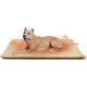 Electric Blanket Dogs 60 x 90 cm, Self-Heating Blanket for Cats and Dogs, Heat Blanket Cat Extra Warm & Soft, Self-Warming Blanket, Thermal Blanket, Dog Bed, Silent Electric Blanket Dogs 60 x 90 cm, Self-Heating Blanket for Cats and Dogs, Heat Blanket Cat Extra Warm & Soft, Self-Warming Blanket, Thermal Blanket, Dog Bed, Silent