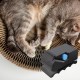 Enwye 3D-Gedruckter Kartonschneider, Katzenkratzschneider, DIY-Katzenkratzwerkzeug Zum Selbermachen, Recycelter Karton (schwarz) Enwye 3D-Gedruckter Kartonschneider, Katzenkratzschneider, DIY-Katzenkratzwerkzeug Zum Selbermachen, Recycelter Karton (schwarz)