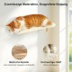 FUKUMARU Climbing Wall Cats, Cat Wall Elements, Climbing Wall Set, 10 Pieces, with Hanging Bridge with Non-Slip, Sturdy Scratching Posts with Jute, Rest and Hammock, up to 18 kg, Grey FUKUMARU Climbing Wall Cats, Cat Wall Elements, Climbing Wall Set, 10 Pieces, with Hanging Bridge with Non-Slip, Sturdy Scratching Posts with Jute, Rest and Hammock, up to 18 kg, Grey