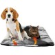 Fellou Electric Blanket for Cats 60 x 40 cm - Self-Heating, Washable & Crinkle Free Heat Blanket - Heating Mat Fellou Electric Blanket for Cats 60 x 40 cm - Self-Heating, Washable & Crinkle Free Heat Blanket - Heating Mat