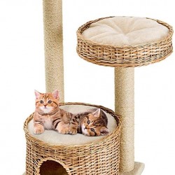 Ferplast Amir Cat Scratching Post, 50 x 50 x 102.5 cm, Brown Ferplast Amir Cat Scratching Post, 50 x 50 x 102.5 cm, Brown