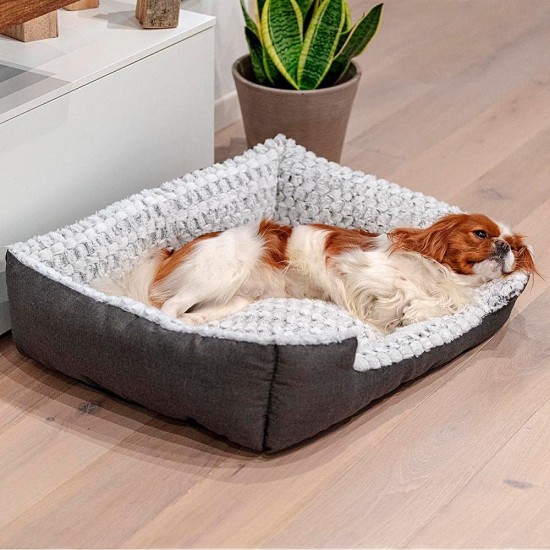 Ferplast Hundekissen Hundesofa Hundebett für Mittelgroße Hunde Katzenkissen Katzenbett Flauschig Plüsch Weich Waschbar 55 x 48 x h 18 cm. Ferplast Hundekissen Hundesofa Hundebett für Mittelgroße Hunde Katzenkissen Katzenbett Flauschig Plüsch Weich Waschbar 55 x 48 x h 18 cm.