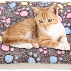 Fleece Pet Blankets, Dog Blanket, Cat Blanket, Fluffy and Soft Cat Blanket for Cat, Cat Bed Mat with Cute Prints, Flannel Throw, Medium Pets Fleece Pet Blankets, Dog Blanket, Cat Blanket, Fluffy and Soft Cat Blanket for Cat, Cat Bed Mat with Cute Prints, Flannel Throw, Medium Pets
