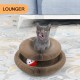 FluffyDream Cat Scratcher with Cat Toy Marble Rack, Built-in Ball, L-shaped Scratcher, Cardboard Lounge Bed, Stable and Durable, Furniture Protection, Reversible FluffyDream Cat Scratcher with Cat Toy Marble Rack, Built-in Ball, L-shaped Scratcher, Cardboard Lounge Bed, Stable and Durable, Furniture Protection, Reversible