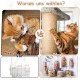 Fosoloni Sisal Rope for Scratching Post, 9 mm x 30 m, Natural Sisal Rope, Sisal Cat Tree Cord Including 3 Cat Toys, Scratching Post Sisal Rope for Cats, Scratching Post, Scratching Rope, Household Fosoloni Sisal Rope for Scratching Post, 9 mm x 30 m, Natural Sisal Rope, Sisal Cat Tree Cord Including 3 Cat Toys, Scratching Post Sisal Rope for Cats, Scratching Post, Scratching Rope, Household