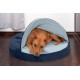 FurHaven 24 Inch Round Small Doughnut Dog Bed Plush Velvet Waves Hooded Calming Cuddler, Washable - Dark Grey, Small FurHaven 24 Inch Round Small Doughnut Dog Bed Plush Velvet Waves Hooded Calming Cuddler, Washable - Dark Grey, Small