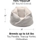 FurHaven 24 Inch Round Small Doughnut Dog Bed Plush Velvet Waves Hooded Calming Cuddler, Washable - Dark Grey, Small FurHaven 24 Inch Round Small Doughnut Dog Bed Plush Velvet Waves Hooded Calming Cuddler, Washable - Dark Grey, Small