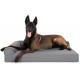FurHaven Pet Quilted Orthopedic Sofa Bed, Large, Silver Gray FurHaven Pet Quilted Orthopedic Sofa Bed, Large, Silver Gray