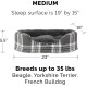FurHaven Ultra Plush Oval Pet Bed, Jumbo, Strawberry