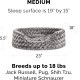 FurHaven Ultra Plush Oval Pet Bed, Jumbo, Strawberry