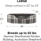 FurHaven Ultra Plush Oval Pet Bed, Jumbo, Strawberry