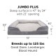 Furhaven Cat Bed for Indoor Cats, Washable with Removable Bolsters, for Pets up to 4.1 kg - Plush & Diamond Print Cuddle Mat - Grey, Small Furhaven Cat Bed for Indoor Cats, Washable with Removable Bolsters, for Pets up to 4.1 kg - Plush & Diamond Print Cuddle Mat - Grey, Small