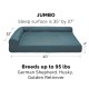 Furhaven Cat Bed for Indoor Cats, Washable with Removable Bolsters, for Pets up to 4.1 kg - Plush & Diamond Print Cuddle Mat - Grey, Small Furhaven Cat Bed for Indoor Cats, Washable with Removable Bolsters, for Pets up to 4.1 kg - Plush & Diamond Print Cuddle Mat - Grey, Small