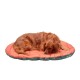 Furhaven Cat Bed for Indoor Cats, Washable with Removable Bolsters, for Pets up to 4.1 kg - Plush & Diamond Print Cuddle Mat - Grey, Small Furhaven Cat Bed for Indoor Cats, Washable with Removable Bolsters, for Pets up to 4.1 kg - Plush & Diamond Print Cuddle Mat - Grey, Small
