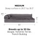 Furhaven Cat Bed for Indoor Cats, Washable with Removable Bolsters, for Pets up to 4.1 kg - Plush & Diamond Print Cuddle Mat - Grey, Small Furhaven Cat Bed for Indoor Cats, Washable with Removable Bolsters, for Pets up to 4.1 kg - Plush & Diamond Print Cuddle Mat - Grey, Small