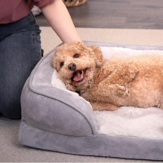 Furhaven Cat Bed for Indoor Cats, Washable with Removable Bolsters, for Pets up to 4.1 kg - Plush & Diamond Print Cuddle Mat - Grey, Small Furhaven Cat Bed for Indoor Cats, Washable with Removable Bolsters, for Pets up to 4.1 kg - Plush & Diamond Print Cuddle Mat - Grey, Small