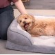 Furhaven Cat Bed for Indoor Cats, Washable with Removable Bolsters, for Pets up to 4.1 kg - Plush & Diamond Print Cuddle Mat - Grey, Small Furhaven Cat Bed for Indoor Cats, Washable with Removable Bolsters, for Pets up to 4.1 kg - Plush & Diamond Print Cuddle Mat - Grey, Small