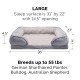 Furhaven Cat Bed for Indoor Cats, Washable with Removable Bolsters, for Pets up to 4.1 kg - Plush & Diamond Print Cuddle Mat - Grey, Small Furhaven Cat Bed for Indoor Cats, Washable with Removable Bolsters, for Pets up to 4.1 kg - Plush & Diamond Print Cuddle Mat - Grey, Small