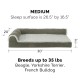 Furhaven Cat Bed for Indoor Cats, Washable with Removable Bolsters, for Pets up to 4.1 kg - Plush & Diamond Print Cuddle Mat - Grey, Small Furhaven Cat Bed for Indoor Cats, Washable with Removable Bolsters, for Pets up to 4.1 kg - Plush & Diamond Print Cuddle Mat - Grey, Small