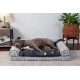 Furhaven Large Memory Foam Dog Bed Plush & Southwest Kilim Decor Sofa-Style w/Removable Washable Cover - Desert Brown, Large Furhaven Large Memory Foam Dog Bed Plush & Southwest Kilim Decor Sofa-Style w/Removable Washable Cover - Desert Brown, Large