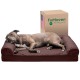 Furhaven Large Memory Foam Dog Bed Plush & Southwest Kilim Decor Sofa-Style w/Removable Washable Cover - Desert Brown, Large Furhaven Large Memory Foam Dog Bed Plush & Southwest Kilim Decor Sofa-Style w/Removable Washable Cover - Desert Brown, Large