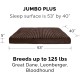 Furhaven Pet Dog Bed | Deluxe Cooling Gel Memory Foam Orthopedic Ultra Plush Mattress Pet Bed for Dogs & Cats, Gray, Jumbo Furhaven Pet Dog Bed | Deluxe Cooling Gel Memory Foam Orthopedic Ultra Plush Mattress Pet Bed for Dogs & Cats, Gray, Jumbo