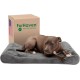 Furhaven Pet Dog Bed | Orthopedic Ultra Plush Luxe Lounger Pet Bed for Dogs & Cats, Gray, Large Furhaven Pet Dog Bed | Orthopedic Ultra Plush Luxe Lounger Pet Bed for Dogs & Cats, Gray, Large