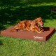 Furhaven Pet Ultra Plush Deluxe Egg-Crate Orthopedic Mat Dog Bed with Water-Resistant Base, Medium, Chocolate Furhaven Pet Ultra Plush Deluxe Egg-Crate Orthopedic Mat Dog Bed with Water-Resistant Base, Medium, Chocolate
