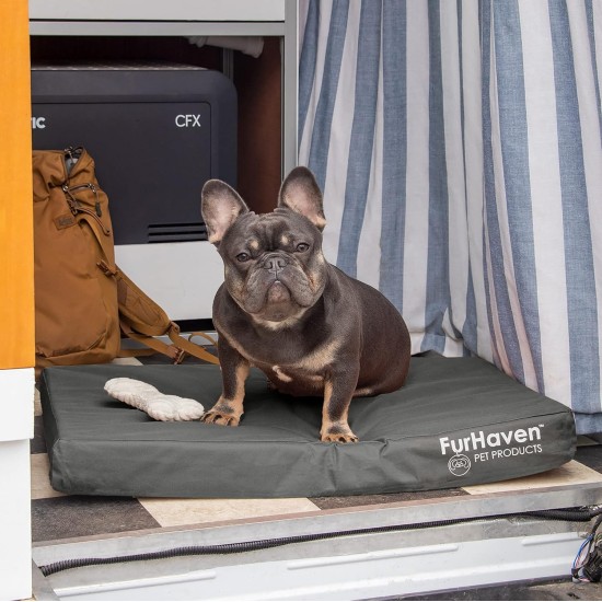 Furhaven Pet Ultra Plush Deluxe Egg-Crate Orthopedic Mat Dog Bed with Water-Resistant Base, Medium, Chocolate Furhaven Pet Ultra Plush Deluxe Egg-Crate Orthopedic Mat Dog Bed with Water-Resistant Base, Medium, Chocolate